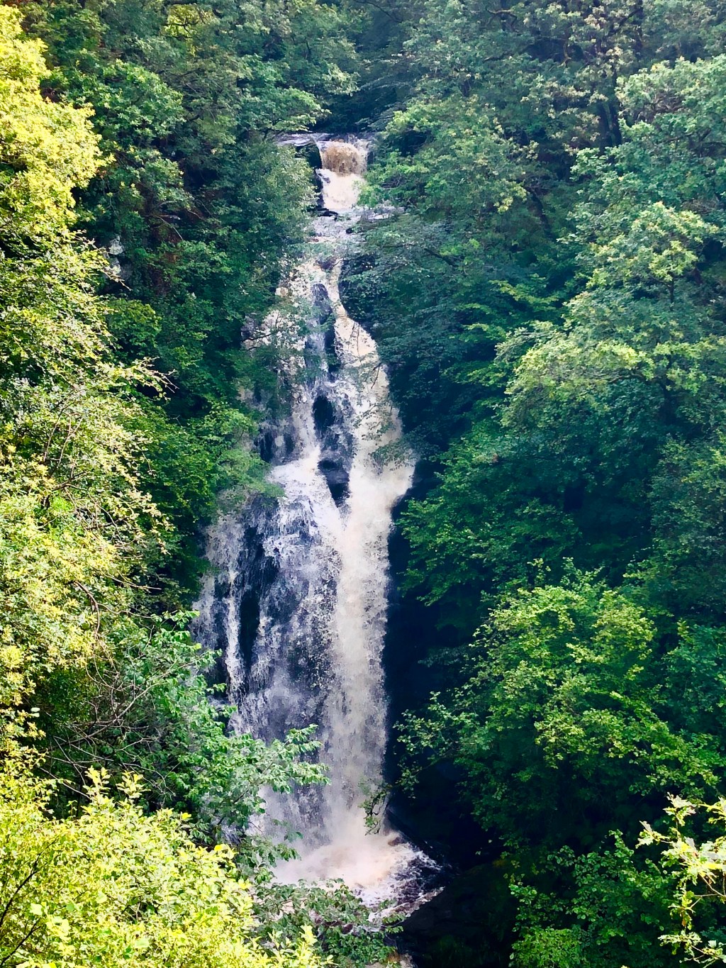 “The Pitlochry Play” #2: ‘Skin in the&nbsp;Game’